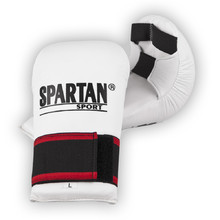 Juniorské boxerské rukavice Spartan American Design - inSPORTline